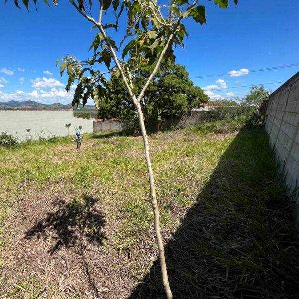 Lote à venda - Bairro Faisqueira - Image 5