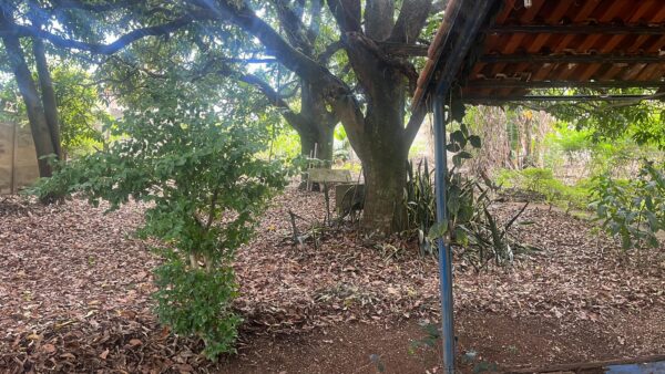 Vende-se Chácara- Bairro São Carlos - Image 10