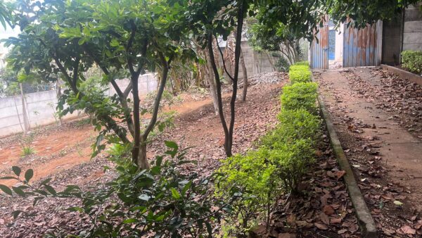 Vende-se Chácara- Bairro São Carlos - Image 11