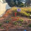 Vende-se Terreno - Bairro Faisqueira